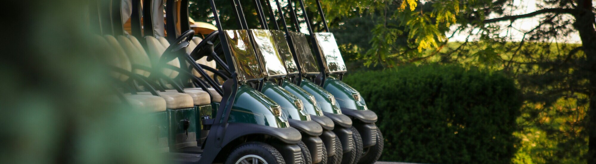 Row of golf carts parked in a green outdoor setting with trees in the background.