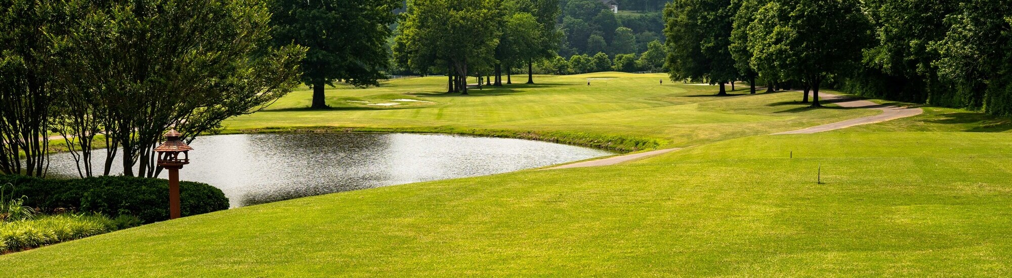 Lush green golf course with a pond and trees under a clear sky, inviting for outdoor activities.